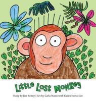 Little Lost Monkey