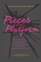 The Pieces of My Platform