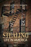 Stealing: Life In America: A Collection of Essays
