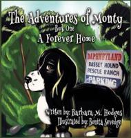 The Adventures of Monty: A Forever Home