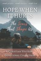 Hope When it Hurts: The Scars that Shape Us: A Christian Writers' Collection (LARGE PRINT EDITION)
