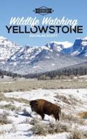 Wildlife Watching: Yellowstone
