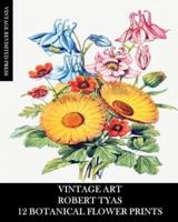 Vintage Art: Robert Tyas: 12 Botanical Prints: Flora Ephemera for Framing, Collage and Mixed Media