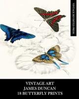 Vintage Art: James Duncan: 18 Butterfly Prints: Ephemera for Framing, Home Decor, Collage and Decoupage
