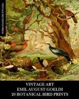 Vintage Art: Emil August Goeldi: 20 Botanical Bird Prints: Ephemera for Framing, Home Decor, Collage and Decoupage