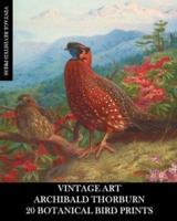 Vintage Art: Archibald Thorburn: 20 Botanical Bird Prints: Ephemera for Framing, Home Decor, Collage and Decoupage