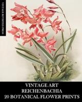 Vintage Art: Reichenbachia 20 Botanical Flower Prints: Flora Ephemera for Framing, Home Decor and Collage