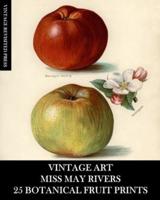 Vintage Art: Miss May Rivers: 25 Botanical Fruit Prints: Ephemera for Framing, Collage, Decoupage and Junk Journals
