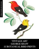 Vintage Art: George Shaw 35 Botanical Bird Prints: Ephemera for Framing, Collage, Decoupage and Junk Journals