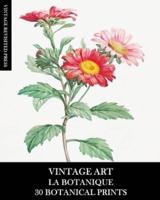 Vintage Art: La Botanique: 30 Botanical Prints for Framing, Collage, Decoupage and Junk Journals