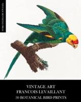Vintage Art: Francois Levaillant 30 Botanical Bird Prints