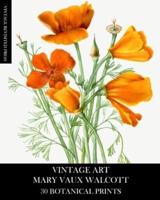 Vintage Art: Mary Vaux Walcott 30 Botanical Prints