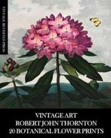 Vintage Art: Robert John Thornton 20 Botanical Flower Prints