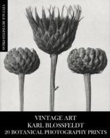 Vintage Art: Karl Blossfeldt 20 Botanical Photography Prints