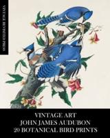 Vintage Art: John James Audubon: 20 Botanical Bird Prints