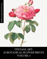 Vintage Art: 20 Botanical Flower Prints Volume 4: Ephemera for Framing, Collage, Decoupage and Junk Journals