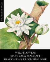 Wild Flowers: Mary Vaux Walcott Grayscale Adult Coloring Book