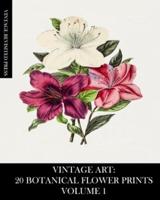 Vintage Art: 20 Botanical Flower Prints Volume 1