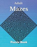 Adult Mazes Puzzle Book