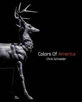 Colors Of America