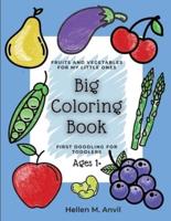 Big Coloring Book - First Doodling for Toddlers Ages 1+