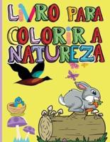Livro Para Colorir a Natureza