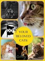 YOUR BELOVED CATS: The Best Selection of 37 Cat  Photos by Manhattan's Top Photographers