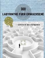 300 Labyrinthe Fuer Erwachsene Einfach Bis Extremes