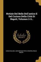 Notizie Del Bello Dell'antico E Del Curioso Della Città Di Napoli, Volumes 2-3...