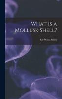 What Is a Mollusk Shell?