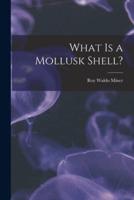 What Is a Mollusk Shell?