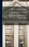 Michaelmas Daisies and Other Garden Asters