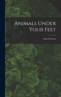 Animals Under Your Feet