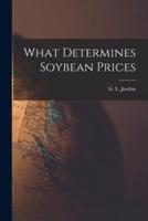 What Determines Soybean Prices