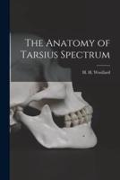 The Anatomy of Tarsius Spectrum