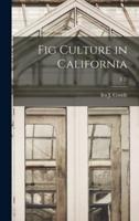Fig Culture in California; E77