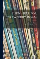 Turn Here for Strawberry Roam