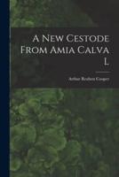 A New Cestode From Amia Calva L [Microform]