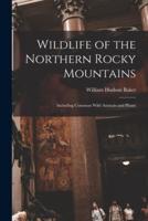 Wildlife of the Northern Rocky Mountains
