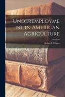 Underemployment in American Agriculture