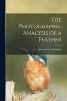 The Photographic Analysis of a Feather