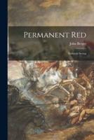 Permanent Red; Essays in Seeing