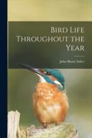 Bird Life Throughout the Year