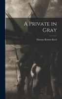 A Private in Gray