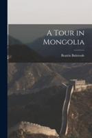 A Tour in Mongolia
