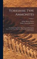 Yorkshire Type Ammonites