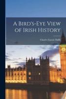 A Bird's-Eye View of Irish History