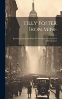 Tilly Foster Iron Mine