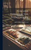 Niagara Through the Stereoscope