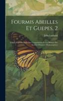 Fourmis Abeilles Et Guepes, 2